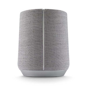 اسپیکر هارمن کاردن مدل Citation 300 Harman Kardon Citation 300 Gray Speaker