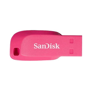 فلش مموری سندیسک مدل Cruzer Blade ظرفیت 16 گیگابایت SanDisk Cruzer Blade 16GB Pink USB Flash Drive